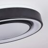 PAGE Ceiling Light LED black, white, 2-light sources, Remote control, Colour changer