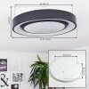 PAGE Ceiling Light LED black, white, 2-light sources, Remote control, Colour changer