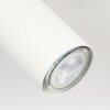 ZUOZ Ceiling Light chrome, white, 3-light sources