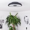 VULLY Ceiling Light LED black, 1-light source, Remote control, Colour changer