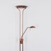 HEURU Floor Lamp LED bronze, 2-light sources