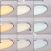 BURIS Ceiling Light LED silver, 1-light source, Remote control