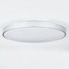 BURIS Ceiling Light LED silver, 1-light source, Remote control