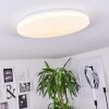 WEESEN Ceiling Light LED white, 1-light source, Motion sensor