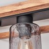 BRUGG Ceiling Light brown, black, 4-light sources