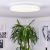 BERGELL Ceiling Light LED white, 1-light source