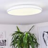 BERGELL Ceiling Light LED white, 1-light source