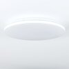 BERGELL Ceiling Light LED white, 1-light source