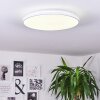 BERGELL Ceiling Light LED white, 1-light source