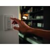 Philips HUE AMBIANCE WHITE RUNNER Spotlight base set LED white, 2-light sources, Remote control