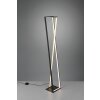 Trio-Leuchten EDGE Floor Lamp LED black, 1-light source