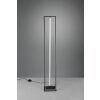 Trio-Leuchten EDGE Floor Lamp LED black, 1-light source
