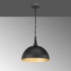 Fischer-Honsel LEITUNG Pendant Light black, 1-light source
