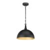 Fischer-Honsel LEITUNG Pendant Light black, 1-light source