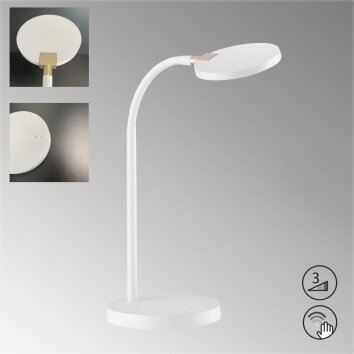Fischer-Honsel LUNA Table lamp LED white, 1-light source