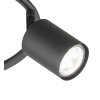 Fischer-Honsel VANO Ceiling Light black, 3-light sources