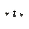 Fischer-Honsel SPEEDY Ceiling Light black, 3-light sources