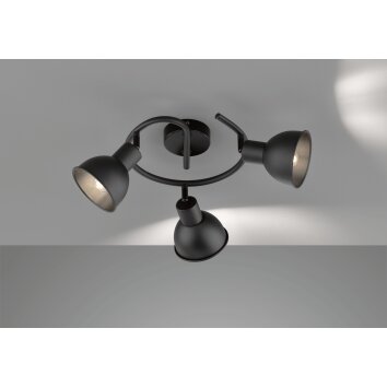 Fischer-Honsel SPEEDY Ceiling Light black, 3-light sources