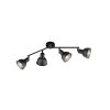 Fischer-Honsel SPEEDY Ceiling Light black, 4-light sources