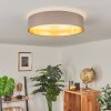 Elsa Ceiling Light LED white, 1-light source
