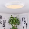 SEEWEN Ceiling Light LED white, 1-light source, Remote control