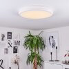 SEEWEN Ceiling Light LED white, 1-light source, Remote control