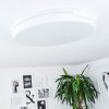 SEEWEN Ceiling Light LED white, 1-light source, Remote control