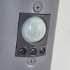 CASERTA Outdoor Wall Light anthracite, 1-light source, Motion sensor