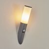 CASERTA Outdoor Wall Light anthracite, 1-light source, Motion sensor