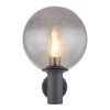 Globo HEDWIG Outdoor Wall Light anthracite, 1-light source