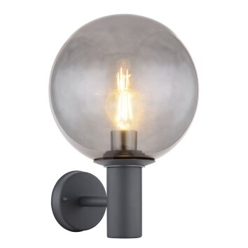 Globo HEDWIG Outdoor Wall Light anthracite, 1-light source