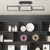 Brilliant RANUT Ceiling Light LED black, 3-light sources