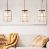 Brilliant TANNAH Pendant Light black, 3-light sources