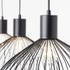 Brilliant BLACKY Pendant Light black, 3-light sources