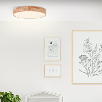 Brilliant SLIMLINE Ceiling Light LED white, 1-light source