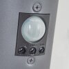 SESSA Outdoor Wall Light anthracite, 1-light source, Motion sensor