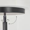 BUSSWIL Floor Lamp LED black, 2-light sources