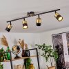 NEFTENBACH Ceiling Light brass, black, 4-light sources
