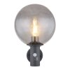 Globo HEDWIG Outdoor Wall Light anthracite, 1-light source, Motion sensor