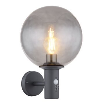 Globo HEDWIG Outdoor Wall Light anthracite, 1-light source, Motion sensor