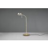 Trio-Leuchten MONZA Table lamp LED brass, 1-light source