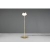 Trio-Leuchten MONZA Table lamp LED brass, 1-light source