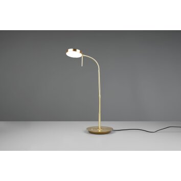 Trio-Leuchten MONZA Table lamp LED brass, 1-light source