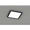 Trio-Leuchten CAMILLA Ceiling Light LED black, 1-light source
