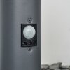 TUNES path light anthracite, 1-light source, Motion sensor