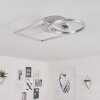 BUREN Ceiling Light LED matt nickel, 1-light source