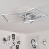 BUREN Ceiling Light LED matt nickel, 1-light source