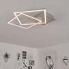 BUREN Ceiling Light LED matt nickel, 1-light source