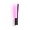 Philips HUE WHITE & COLOR AMBIANCE LIANE Wall Light LED black, 1-light source, Colour changer