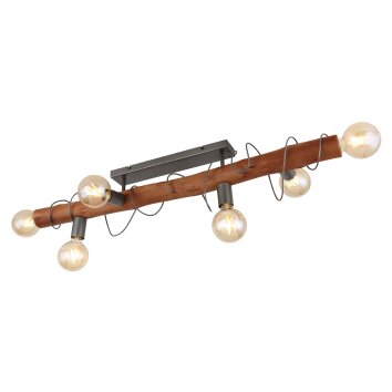 Globo ALICE Ceiling Light black, 6-light sources